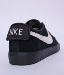 Nike SB - Blazer Low GT