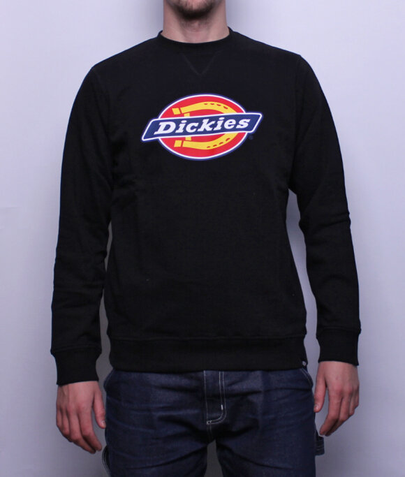 Dickies - Harrison