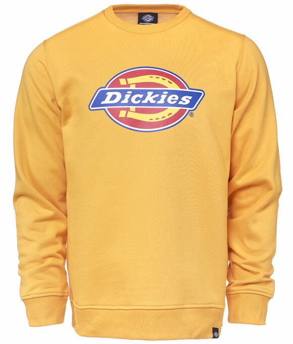 Dickies - Pittsburg