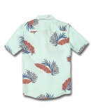 Volcom - S/S Bermuda