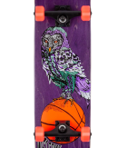 Welcome Skateboards - Hooter Shooter