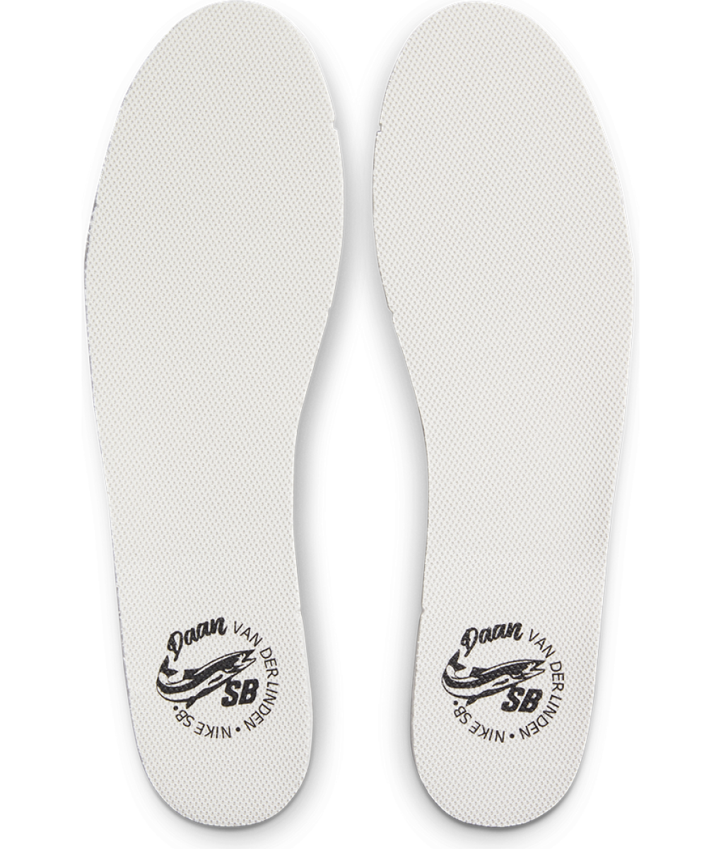 nike sb blazer court dvd