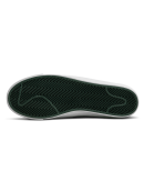 Nike SB - Blazer Low GT (ISO)