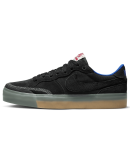 Nike SB - Zoom Pogo Plus