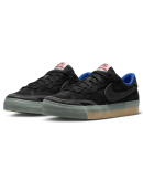 Nike SB - Zoom Pogo Plus