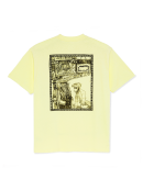 Polar - Gorilla King Polar - Gorilla King