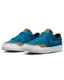 Nike SB - Zoom Pogo Plus