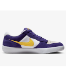 Nike SB - Force 58