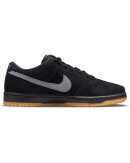 Nike SB - Dunk Low Pro Fog