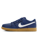 Nike SB - Dunk Low Pro ISO