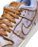 Nike SB - Dunk Low Pro PRM City Of Style