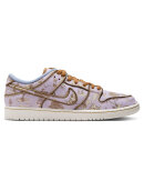 Nike SB - Dunk Low Pro PRM City Of Style