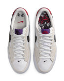 Nike SB - Zoom Pogo Plus
