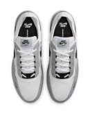 Nike SB - PS8