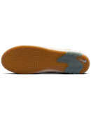 Nike SB - Ishod Air Max
