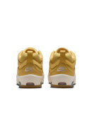 Nike SB - Ishod Air Max