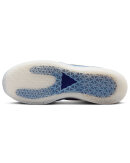 Nike SB - PS8