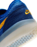 Nike SB - PS8