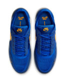 Nike SB - PS8