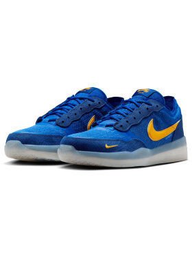 Nike SB - PS8