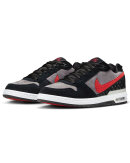 Nike SB - P RodZoom Air Low QS