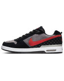 Nike SB - P RodZoom Air Low QS