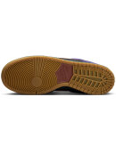 Nike SB - Dunk Low Pro