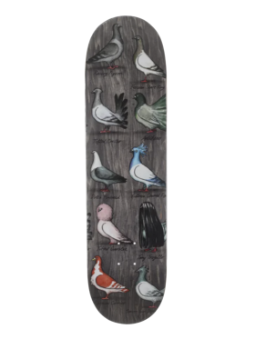 Anti Hero - Trujillo Show Pigeons