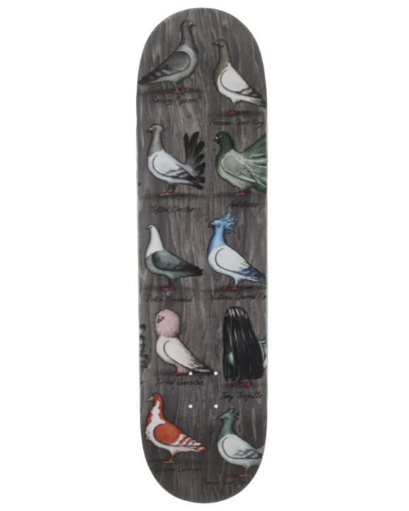 Anti Hero - Trujillo Show Pigeons