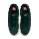 Nike SB - Dunk Low Pro ISO