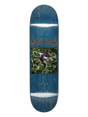 Limo - Angel - Aaron Loreth