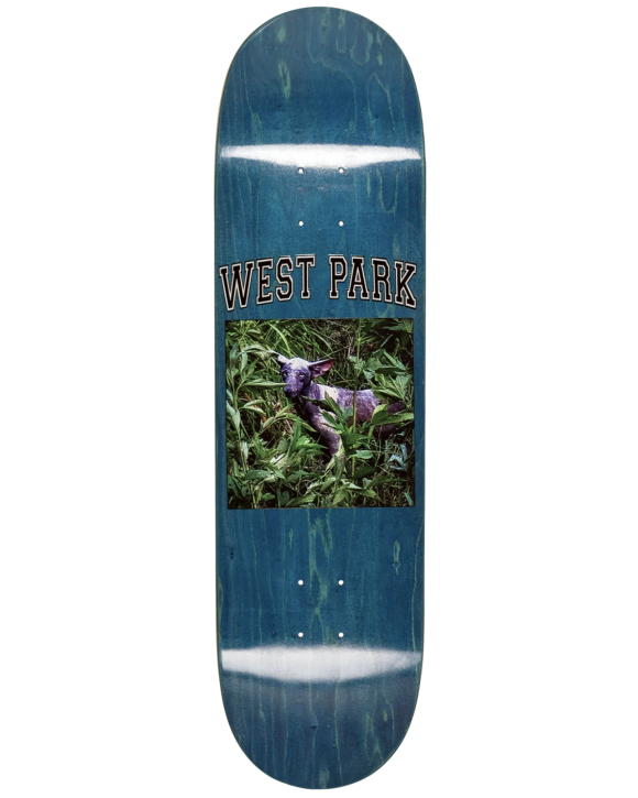 Limo - Angel - Aaron Loreth