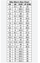 Nike SB - Dunk Low Pro