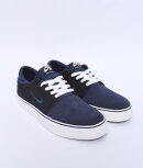 Nike SB - team edition
